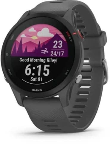 Умные часы Garmin Forerunner 255, с темно-серым ремешком — фото 1 из 8